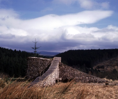 Sheltered seat, Keilder Forest 